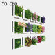 Balance CHO-Fleurs artificielles pour décoration de maison, cadre 3D pour plante succulente, art mural sans danger, salon, fête de mariage