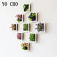 Balance CHO-Fleurs artificielles pour décoration de maison, cadre 3D pour plante succulente, art mural sans danger, salon, fête de mariage