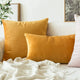 Housse de coussin en velours uni Ultra doux, 30x50cm, décoration de maison, confortable, taie d'oreiller nordique Funda Cojin