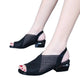 Sandales Peep Parker à talons optiques pour femmes, chaussures en maille respirante pour dames, sandales de plage d'été pour filles, grande taille, mode