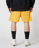 Shorts de sport en maille à séchage rapide pour hommes, pantalons courts de basket-ball, shorts de course, jogging, fitness, gym, musculation, nouveau, été