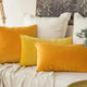 Housse de coussin en velours uni Ultra doux, 30x50cm, décoration de maison, confortable, taie d'oreiller nordique Funda Cojin